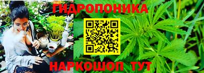 гидропоника Севастополь