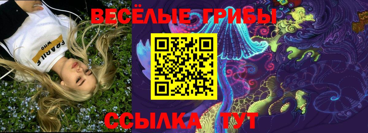 Галлюциногенные грибы GOLDEN TEACHER Пугачёв